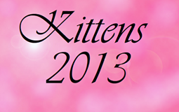bouton kittens 2013