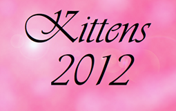  bouton kittens 2012