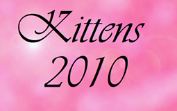 bouton kittens 2010