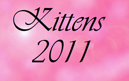 bouton kittens 2011